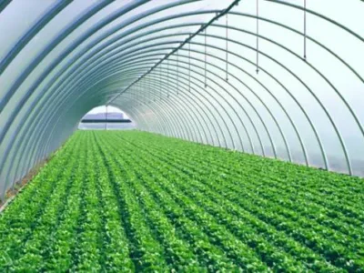 Calarasi - Echipamente pentru sere - solarii - sisteme de irigatii