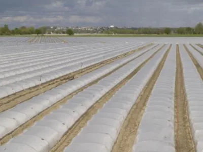 Calarasi - Echipamente pentru sere - solarii - sisteme de irigatii