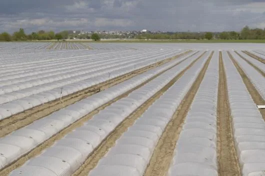 Calarasi - Echipamente pentru sere - solarii - sisteme de irigatii