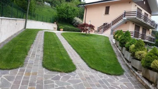Tulcea - Peisagistica - intretinere gradini si spatii verzi