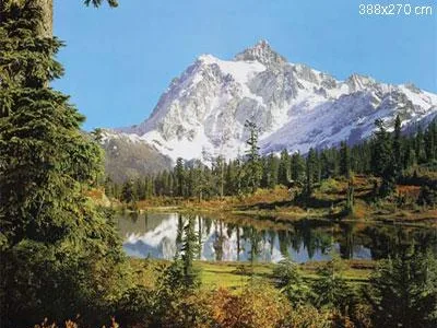 Lumea tapetului - Cluj Napoca