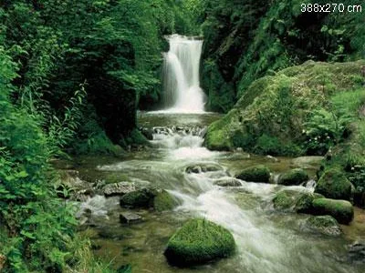 Lumea tapetului - Cluj Napoca