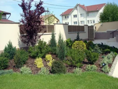 Dumbravita / Timis - Amenajare spatii verzi - comercializare plante