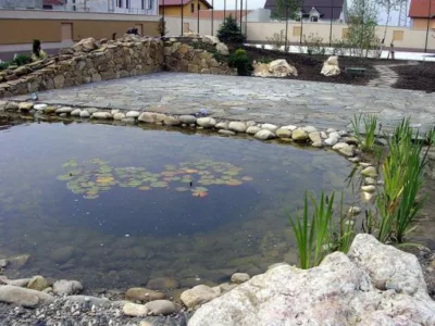 Dumbravita / Timis - Amenajare spatii verzi - comercializare plante