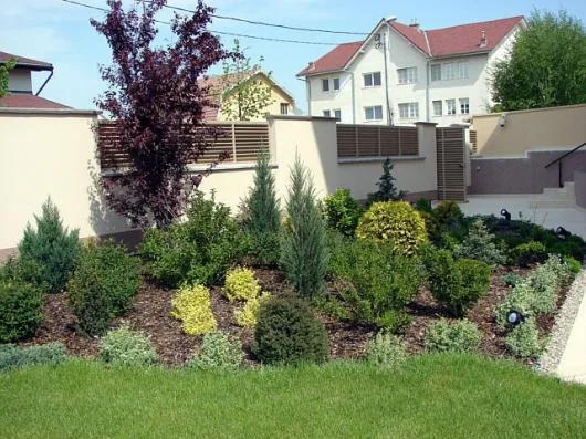 Dumbravita / Timis - Amenajare spatii verzi - comercializare plante