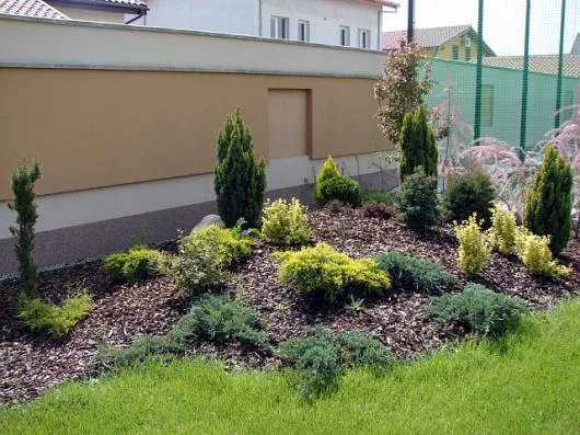 Dumbravita / Timis - Amenajare spatii verzi - comercializare plante