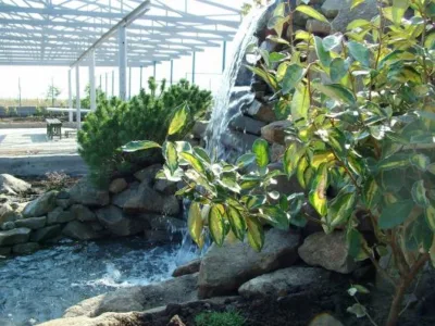 Odorhei / Bihor - Iazuri - lacuri ornamentale - cascade