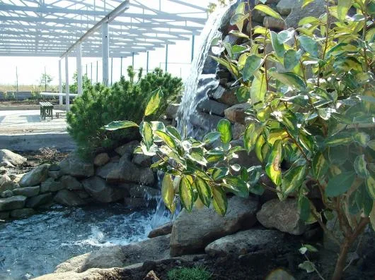 Odorhei / Bihor - Iazuri - lacuri ornamentale - cascade