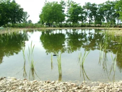 Odorhei / Bihor - Iazuri - lacuri ornamentale - cascade