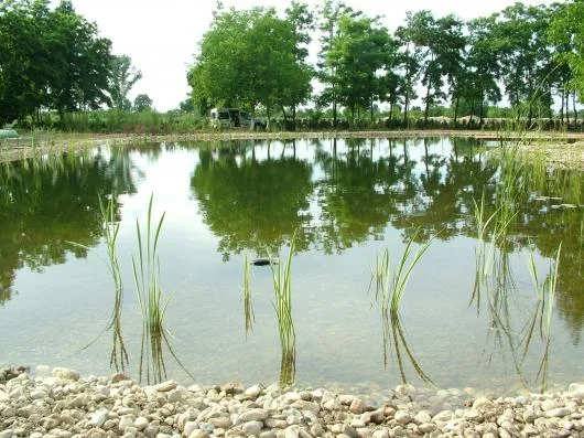 Odorhei / Bihor - Iazuri - lacuri ornamentale - cascade
