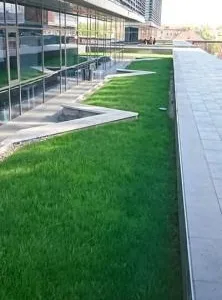 Gradinarul tau personal in Timisoara
