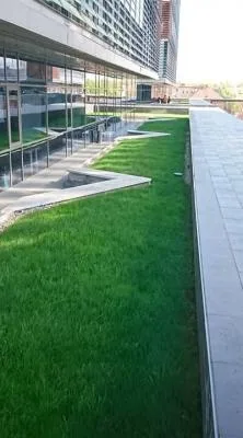 Gradinarul tau personal in Timisoara