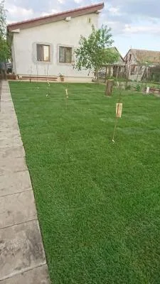 Gradinarul tau personal in Timisoara