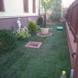 Gradinarul tau personal in Timisoara