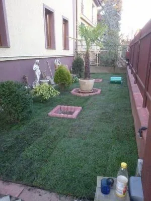 Gradinarul tau personal in Timisoara
