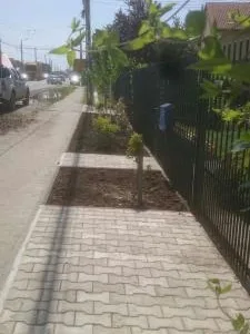 Gradinarul tau personal in Timisoara
