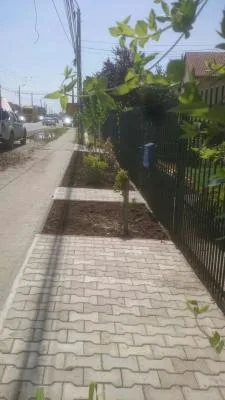 Gradinarul tau personal in Timisoara