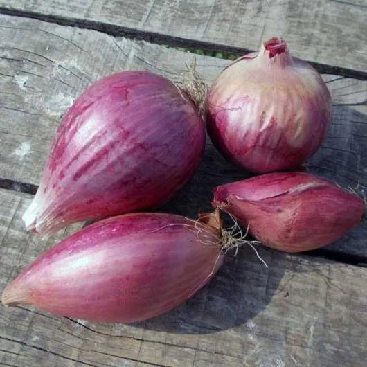Valea Macrisului / Ialomita - Legume si fructe de sezon