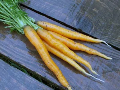 Valea Macrisului / Ialomita - Legume si fructe de sezon