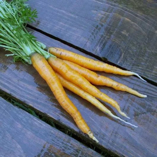 Valea Macrisului / Ialomita - Legume si fructe de sezon