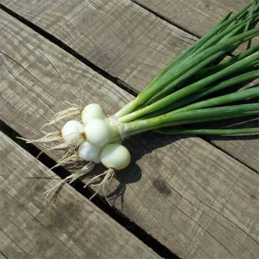 Valea Macrisului / Ialomita - Legume si fructe de sezon
