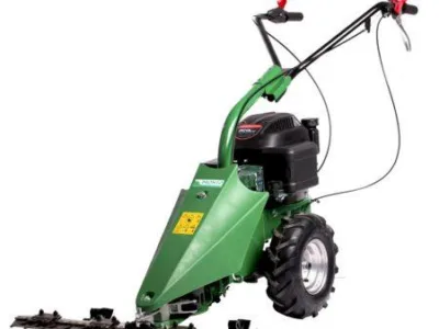 Produse si Servicii in domeniul amenajarilor exterioare