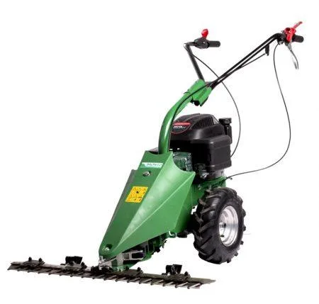 Produse si Servicii in domeniul amenajarilor exterioare