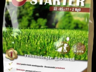 Produse si Servicii in domeniul amenajarilor exterioare