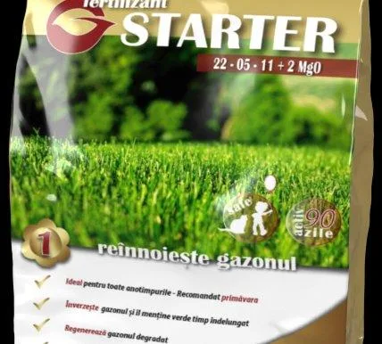 Produse si Servicii in domeniul amenajarilor exterioare