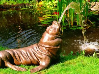 Cluj Napoca - Fantania arteziene - piscine - sisteme de iluminat