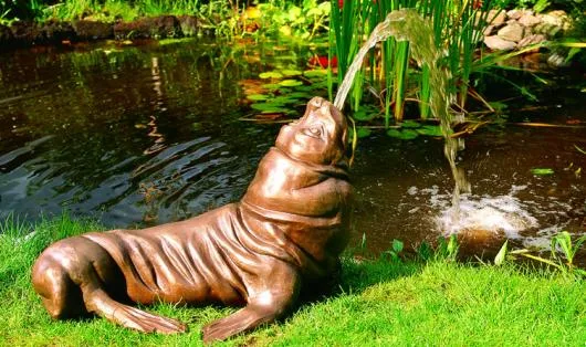 Cluj Napoca - Fantania arteziene - piscine - sisteme de iluminat