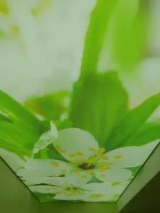 Comercializare si montare tavane extensibile - Bucuresti