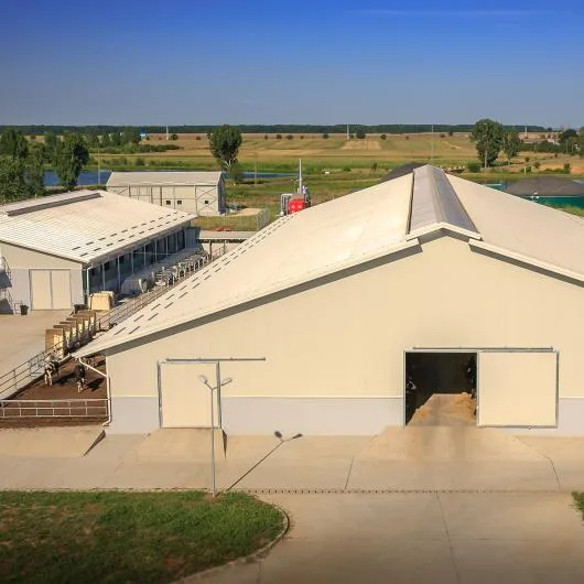 Bucuresti - Constructii civile si industriale