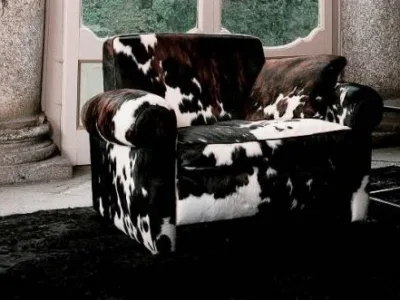 Bacau - Design studio si showroom amenajari interioare
