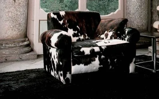 Bacau - Design studio si showroom amenajari interioare