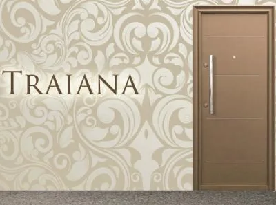 Pardoseli din lemn - usi metalice - tapet - Pantelimon / Ilfov