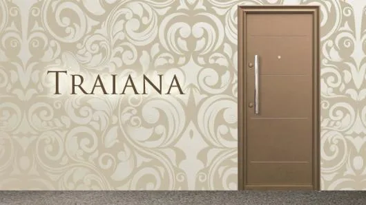 Pardoseli din lemn - usi metalice - tapet - Pantelimon / Ilfov