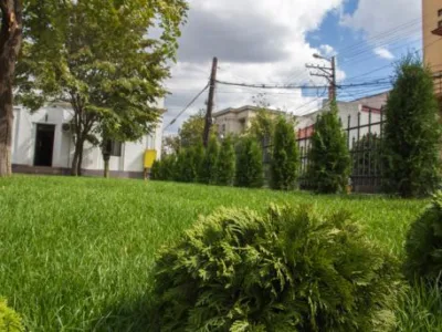 Bogardens Design montaj gazon rulou si sisteme de irigatii Neamt