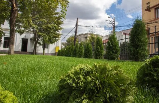 Bogardens Design montaj gazon rulou si sisteme de irigatii Neamt