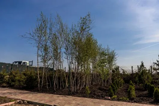 Bogardens Design montaj gazon rulou si sisteme de irigatii Neamt