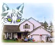 Sisteme de alarma performante