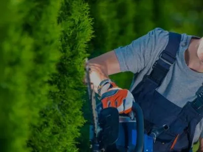 Bucuresti - Servicii pentru intretinere cladiri