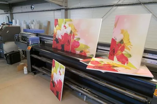 Dolj - Print UV direct pe materiale rigide/placi