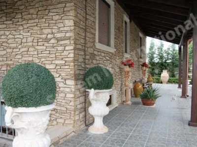 Cluj -Napoca - Pardoseli si tencuieli decorative