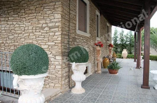 Cluj -Napoca - Pardoseli si tencuieli decorative