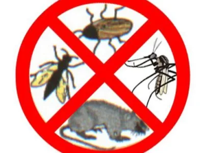 Deratizare - dezinsectie - dezinfectie - Bucuresti