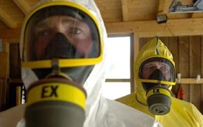 Deratizare - dezinsectie - dezinfectie - Bucuresti