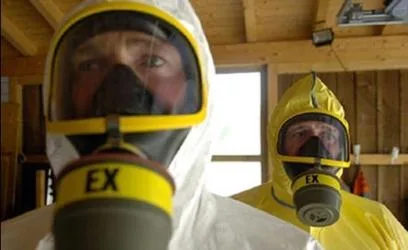 Deratizare - dezinsectie - dezinfectie - Bucuresti