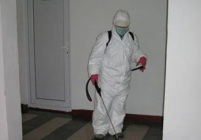 Deratizare - dezinsectie - dezinfectie - Bucuresti