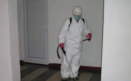 Deratizare - dezinsectie - dezinfectie - Bucuresti